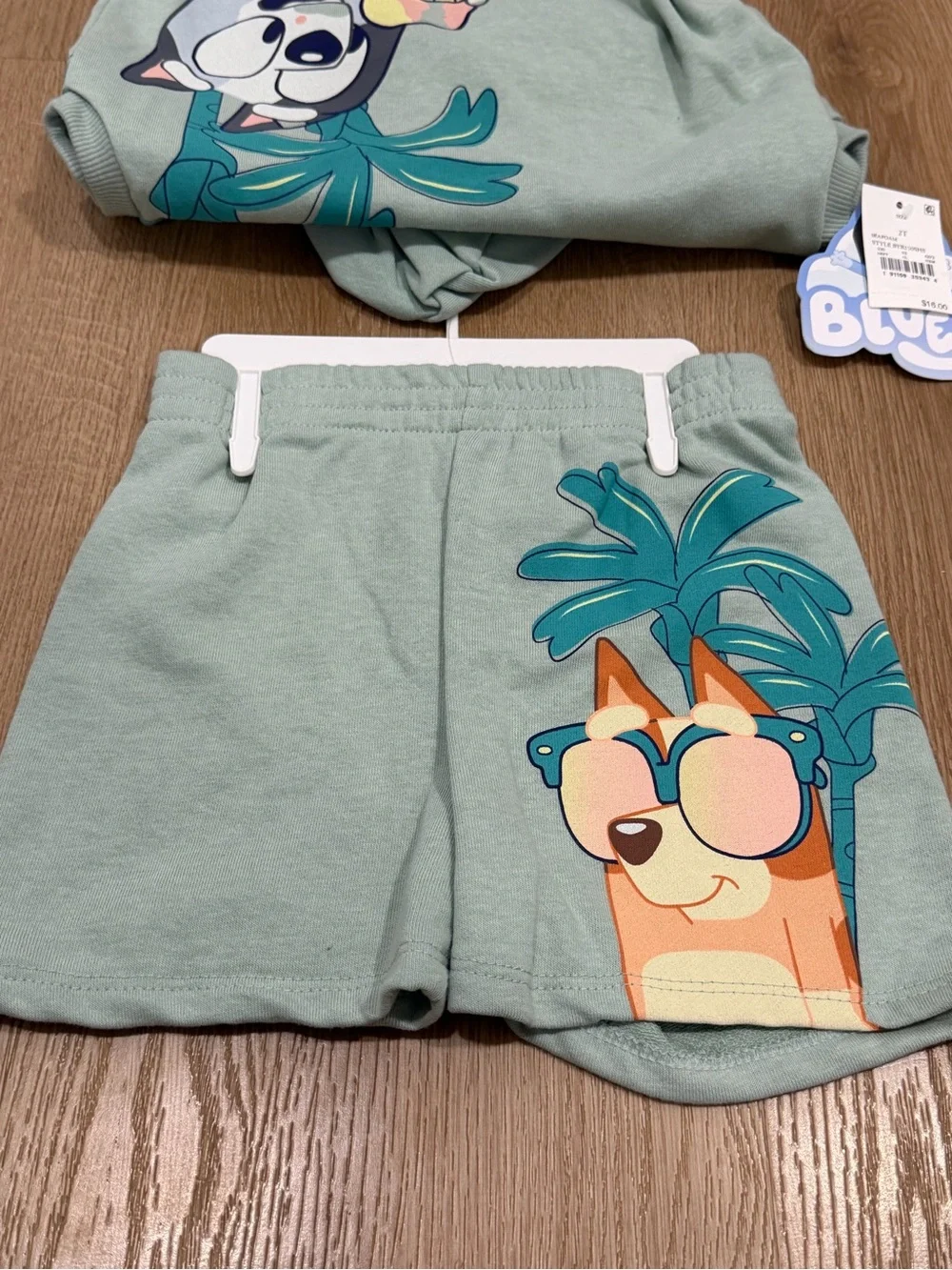 Bluey Kids Mint Green Hooded shorts Set with Sunglasses Pup Graphic